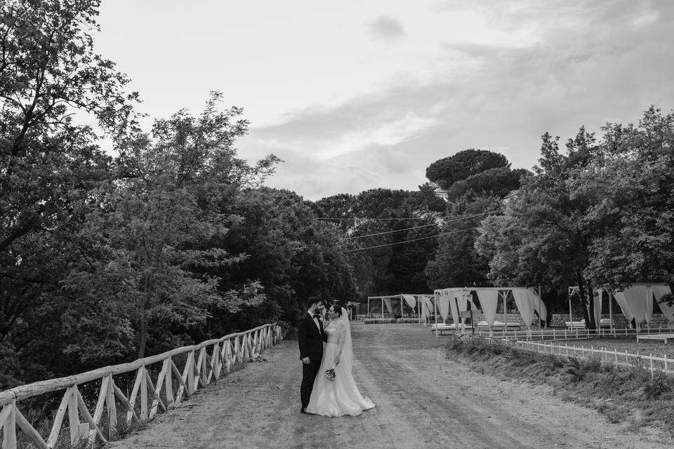 Wedding D&J