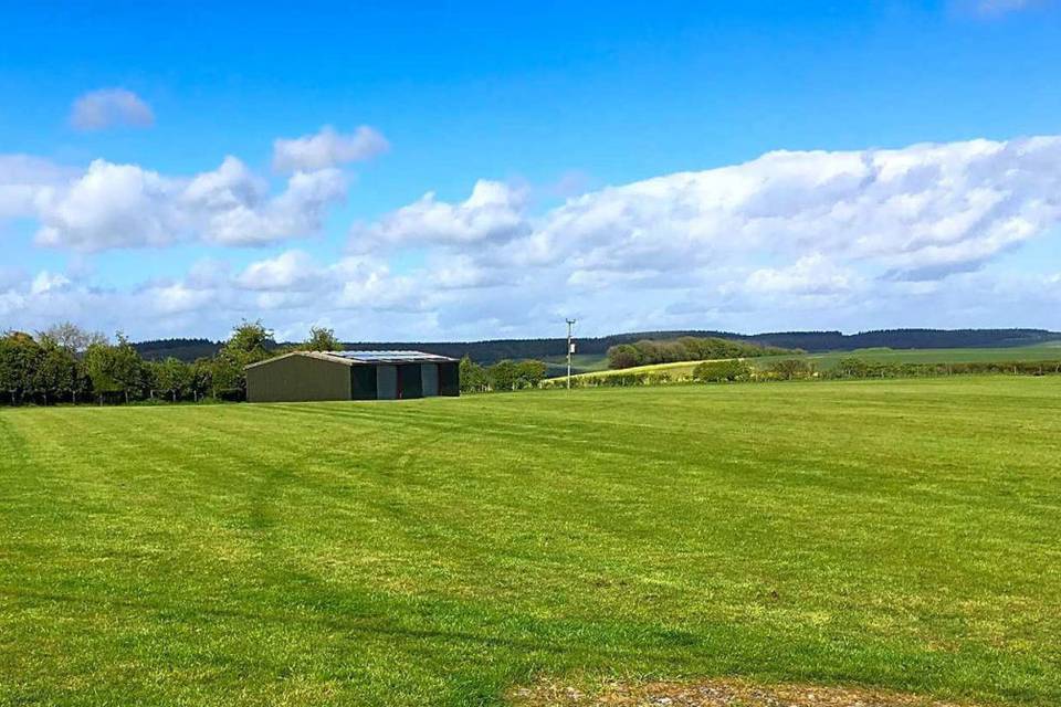 Lush green space