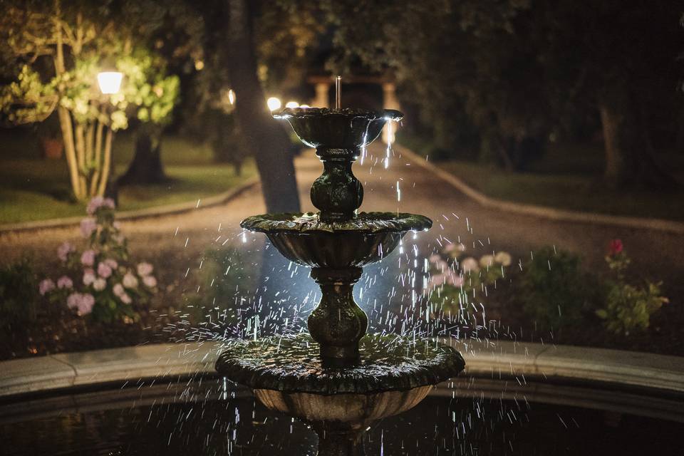 Fountain by night