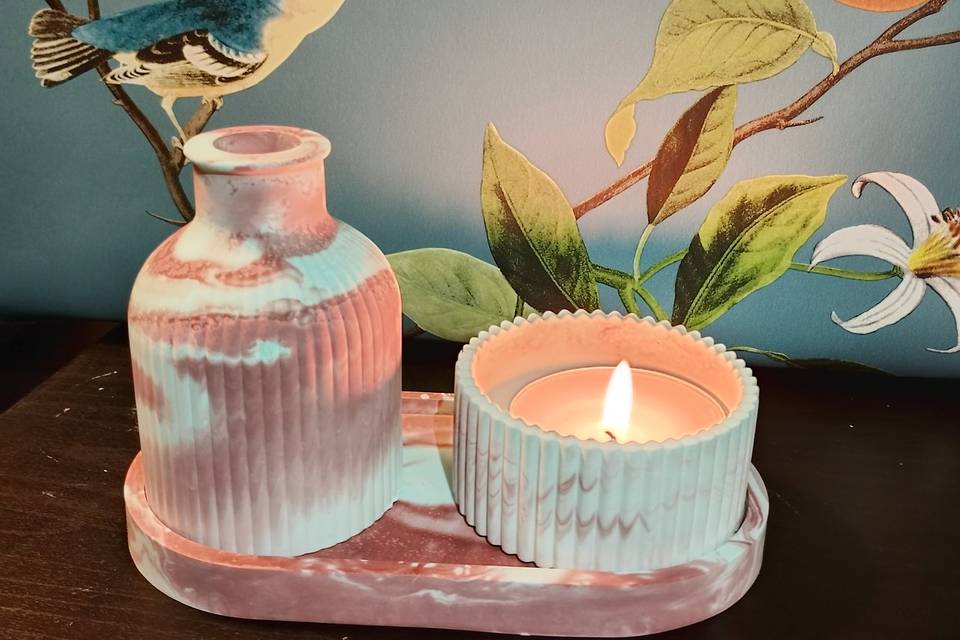Rainforest Collection