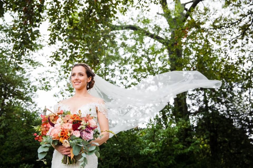 The beautiful bride