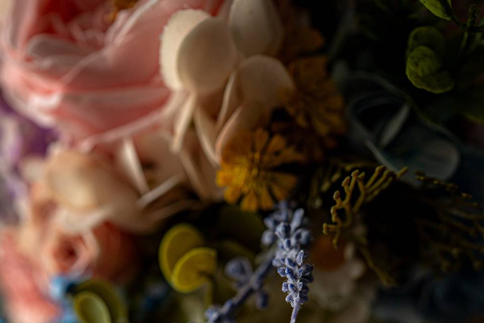 Ccreations Photography