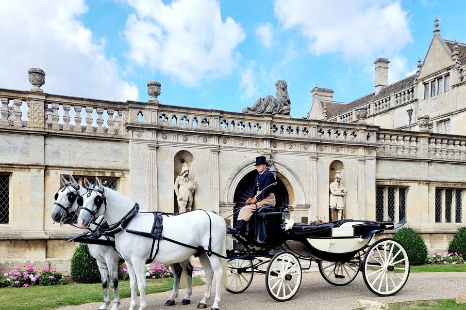 D K Carriage Horses