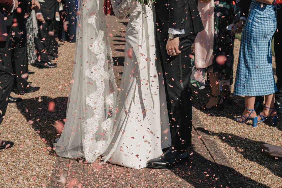 Confetti on The South Lawn