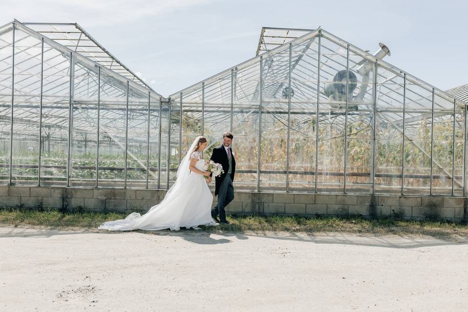 Greenhouse
