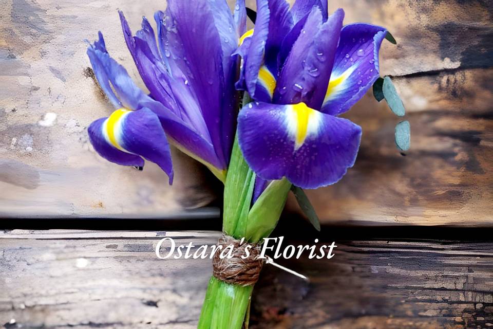 Iris buttonhole