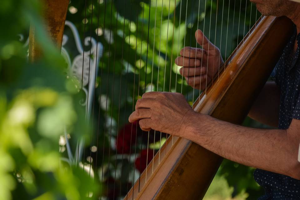 Tenuta Torciano