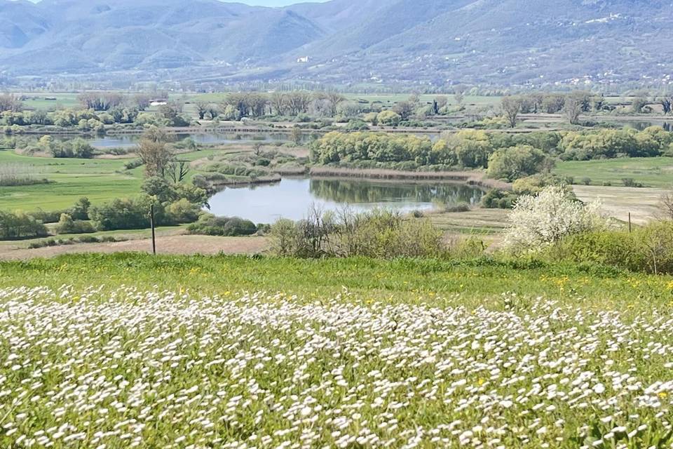 Tenuta Due Laghi