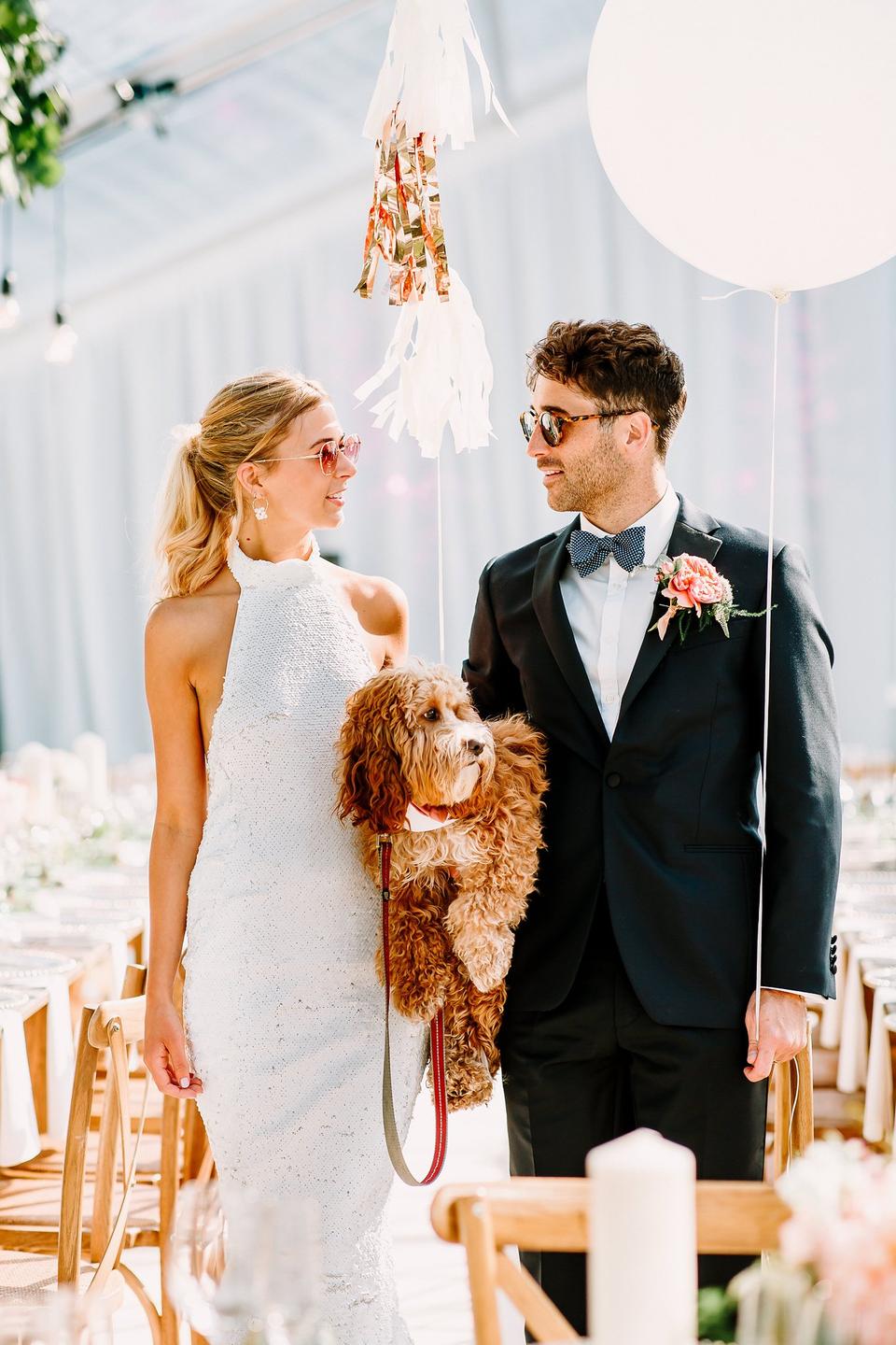Bride and groom at their wedding holding their labradoodle between them, with large balloons all around them