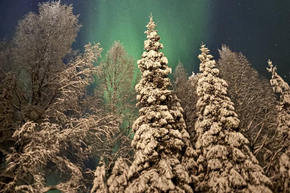 Northern Lights