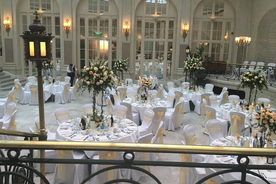 Palm Court Set up