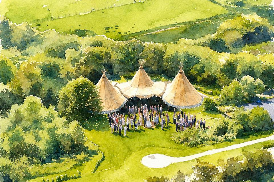 TiPi in the Paddock
