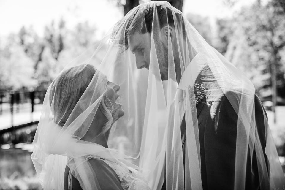 Black and white lushness
