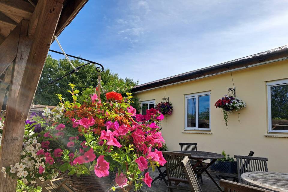 Hanging Baskets