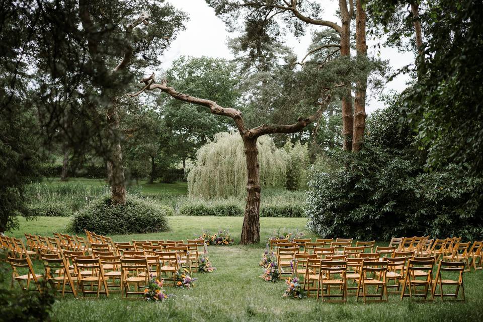 Wizard Tree Ceremony