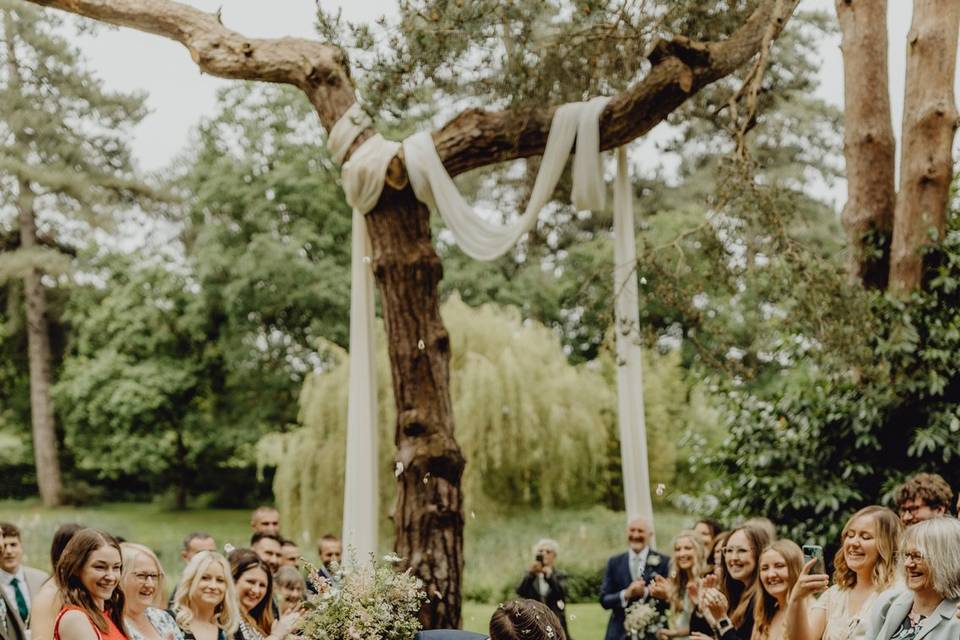 Wizard Tree Confetti Throw