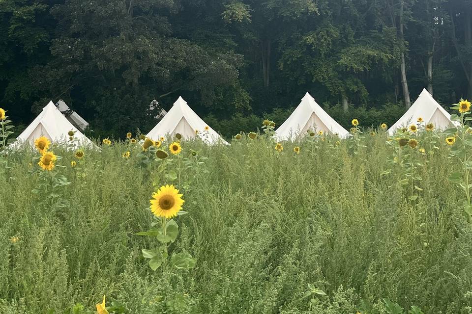 Extra bell tents