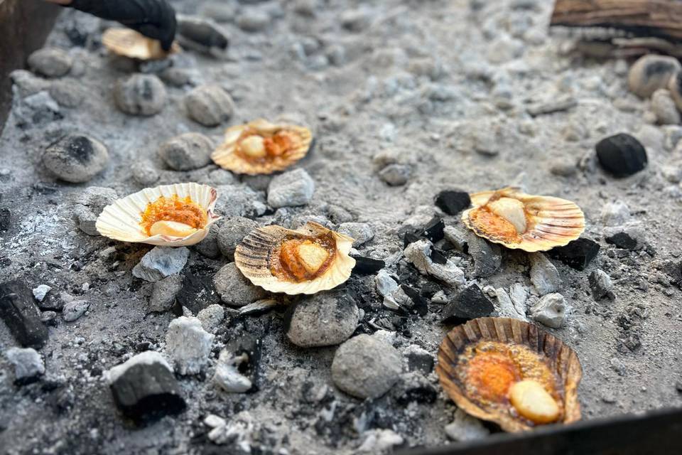 Scallops in the coals