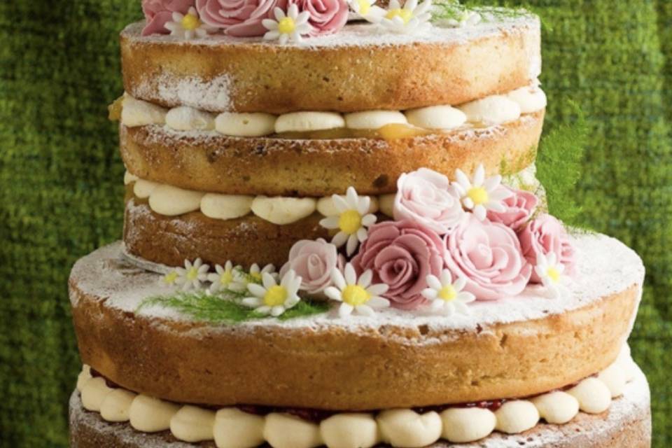 Naked sponge cakes