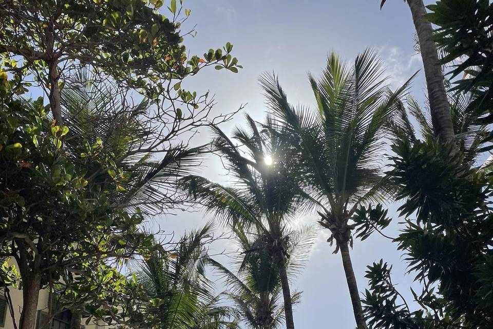 Barbados