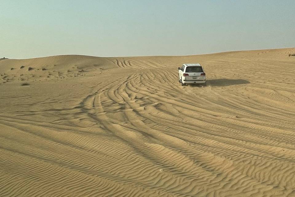 Dubai Safari