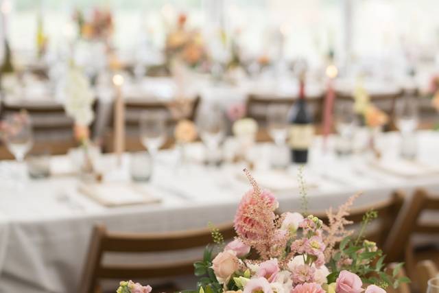 The Wild floral studio