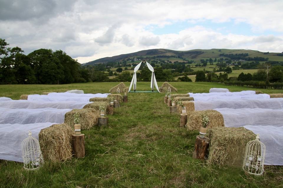 Wedding in the Meadow