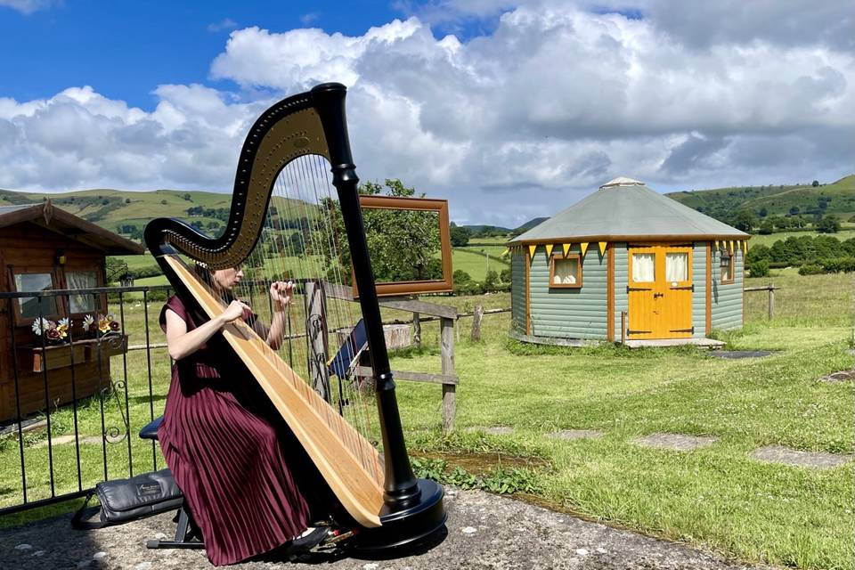 Harpist for the aisle walk