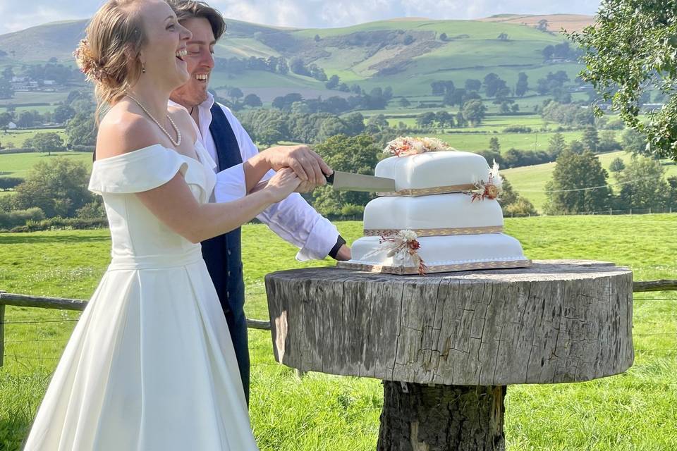 Perfect spot to cut the cake