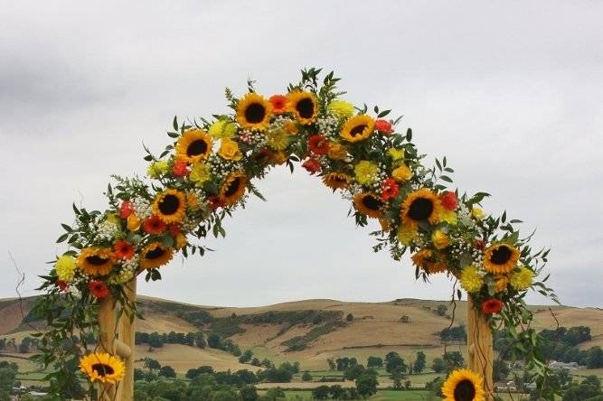 Sunflower wedding arch