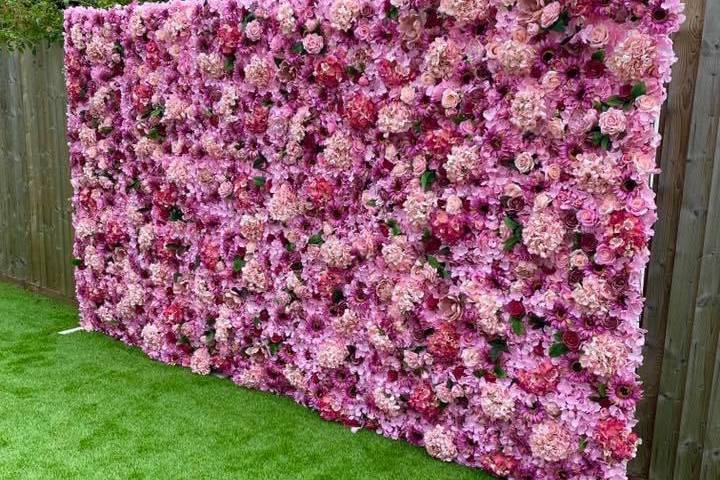 Fuchsia flower wall