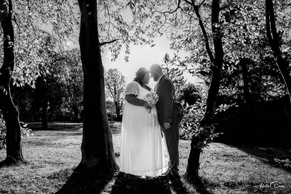Wedding