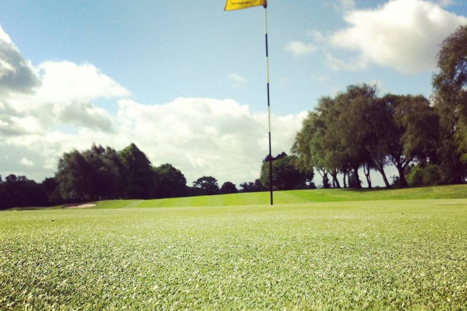 Edgbaston Golf 8