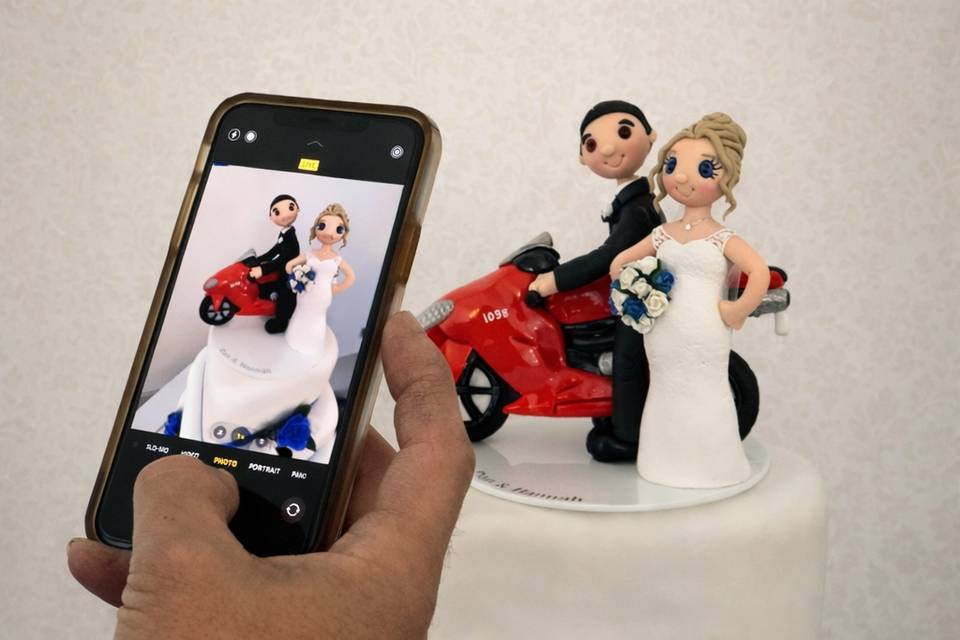 Bride & Groom Cake Toppers
