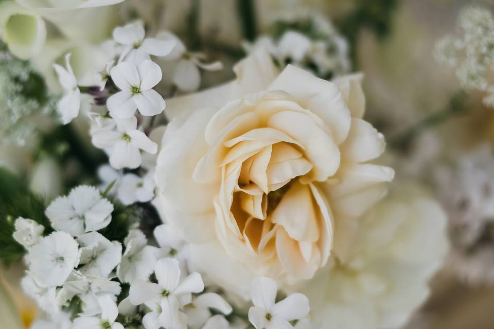 British flowers