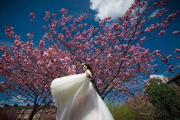 Blossom - Mark Timm