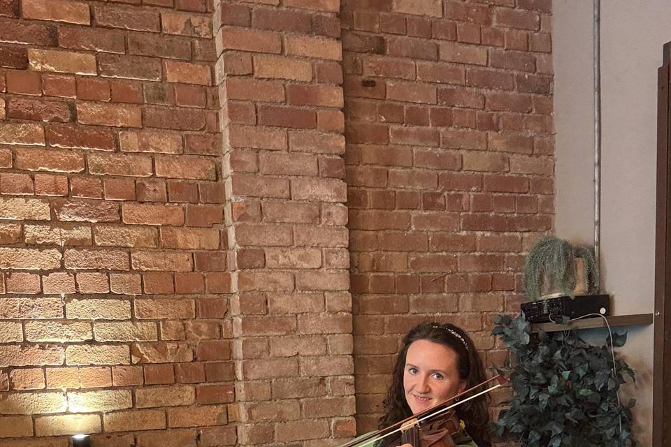 Violin