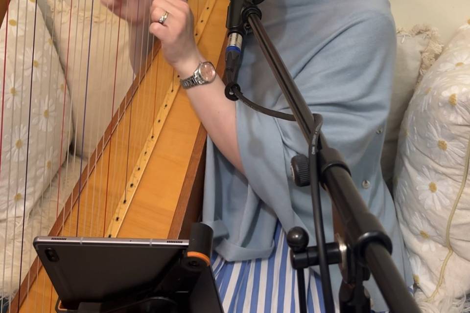Singing & Harp