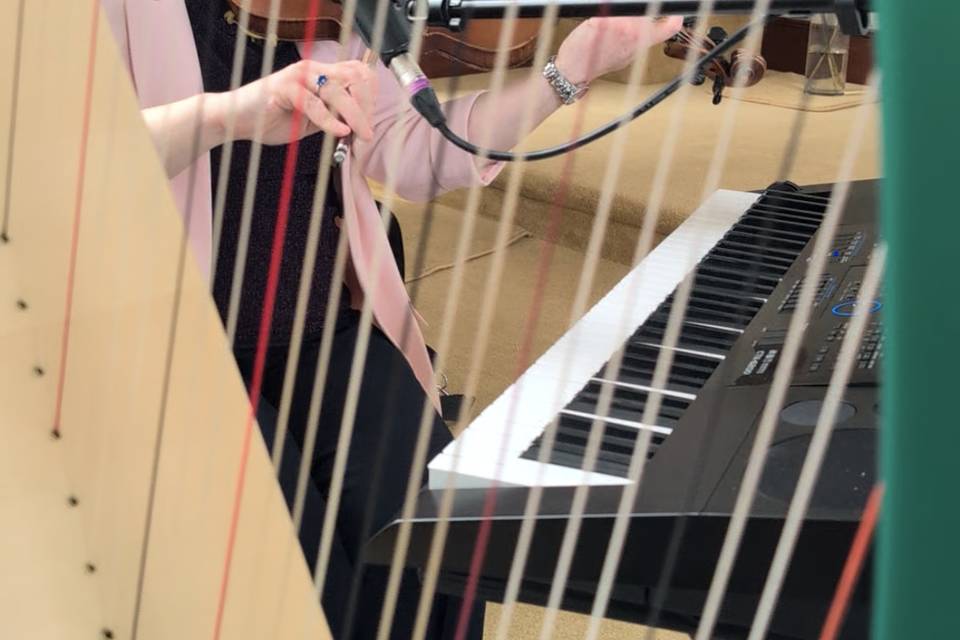 Singing, Violin, Piano, Harp