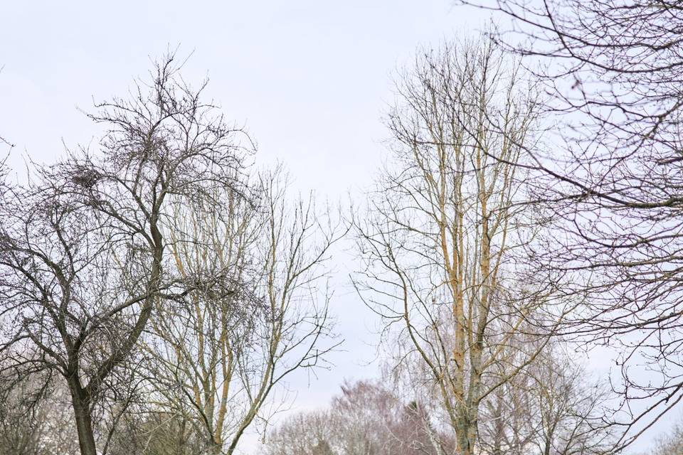 Romantic Wedding Venue Grounds