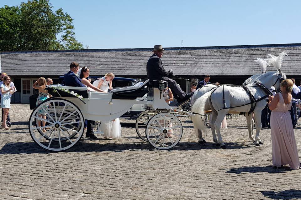 Horse and carriage Meols Hall