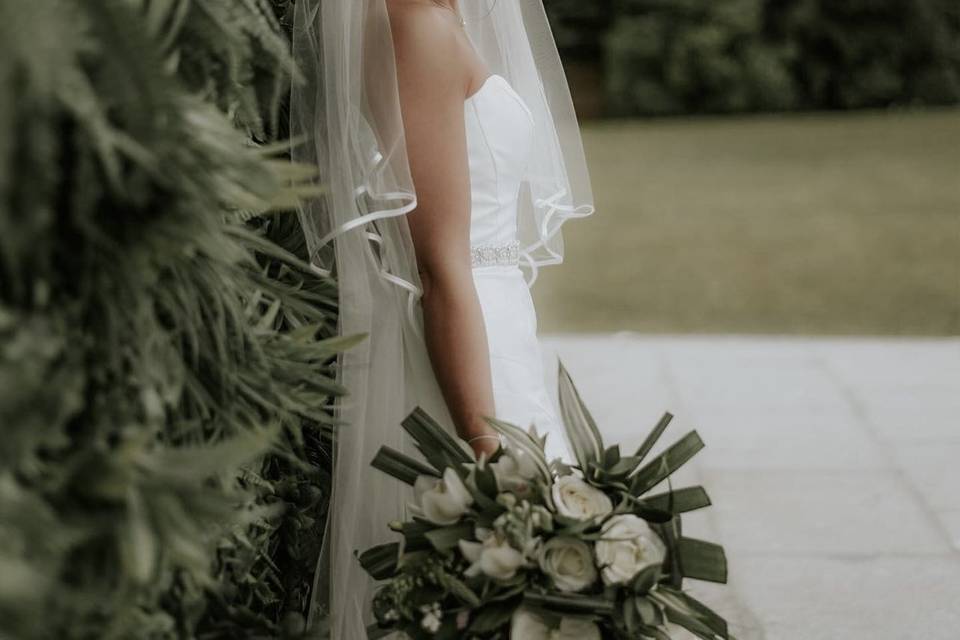 Minimal at Albert’s