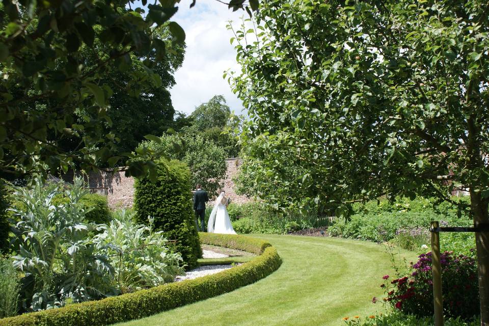 Kitchen Garden