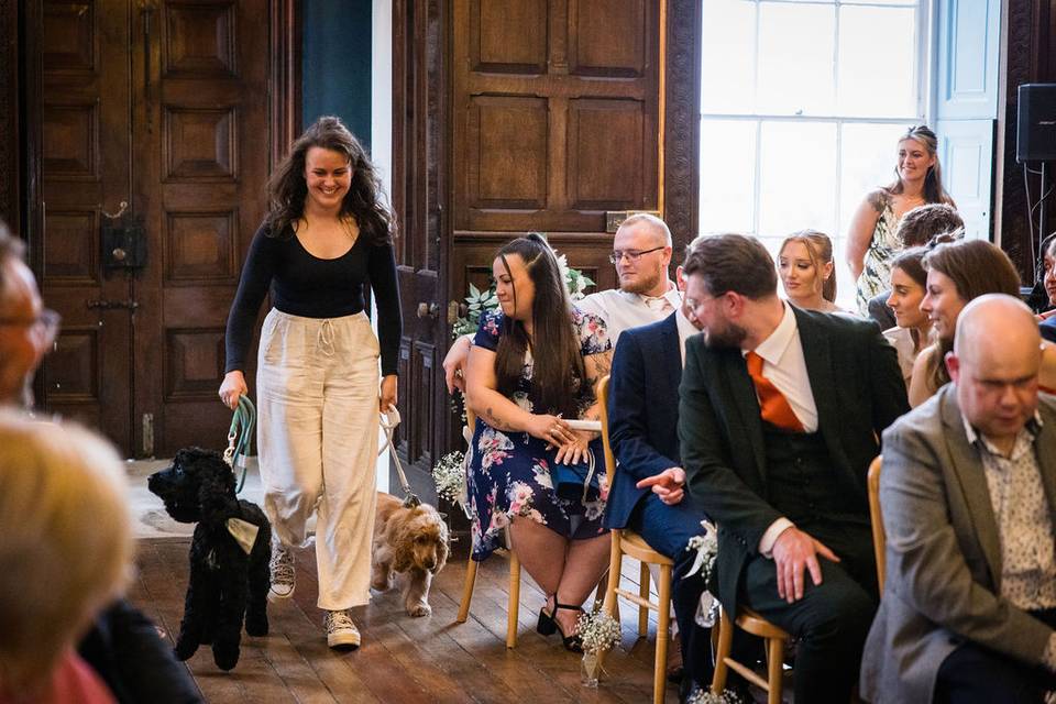Doggy ringbearer