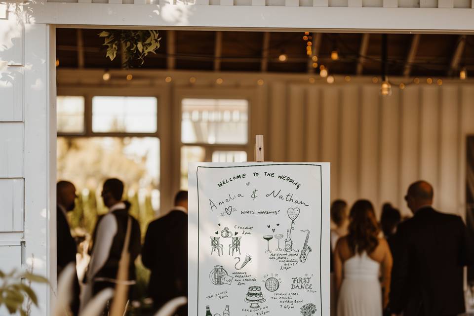 Illustrated Timeline