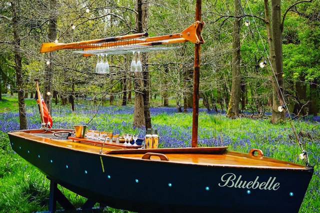 Bluebelle amongst the bluebell