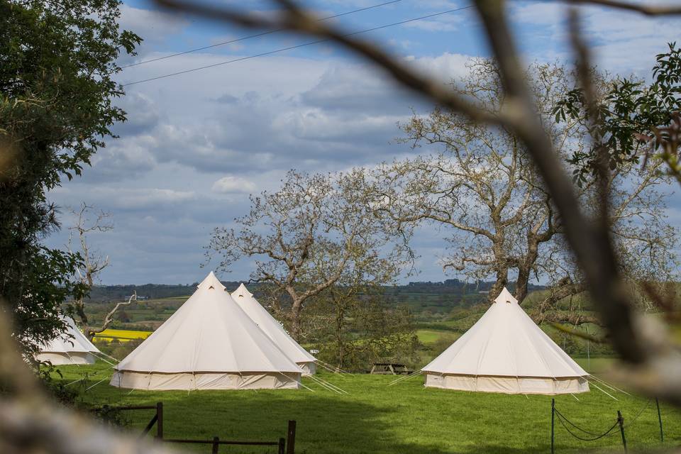 Guest Accommodation glamping