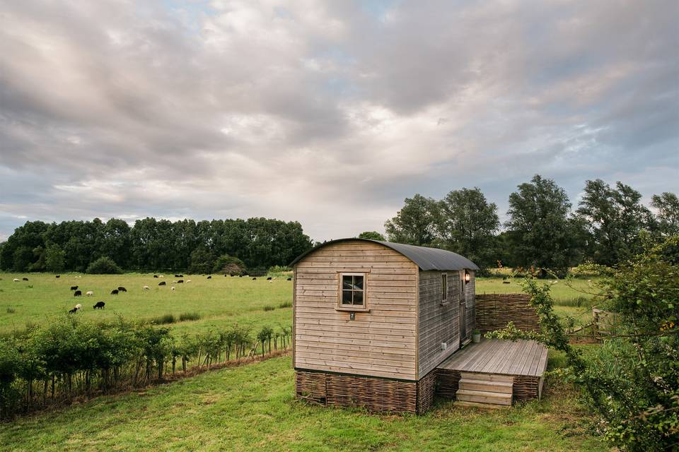 Shepherds hut accommodation