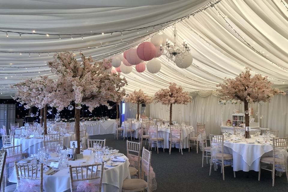 Marquee Wedding