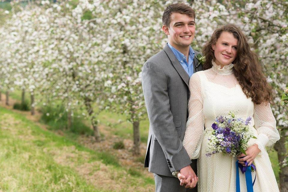 Blossom in the orchards